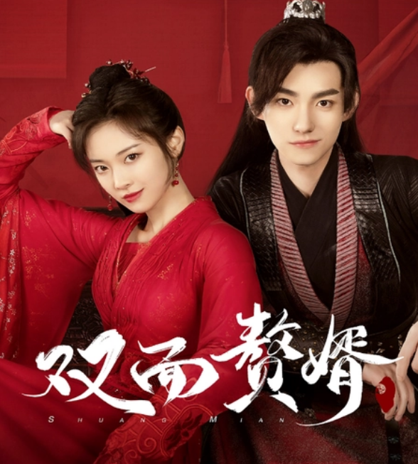 双面赘婿不好惹第01集