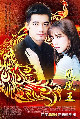 凤凰王第03集