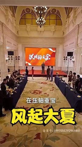 风起大夏全集(大结局)