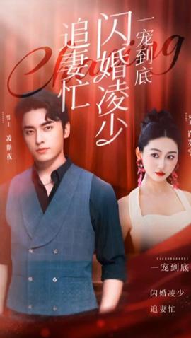 一宠到底，闪婚凌少追妻忙全集