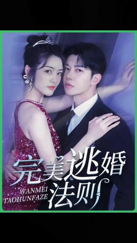 完美逃婚法则21-40集