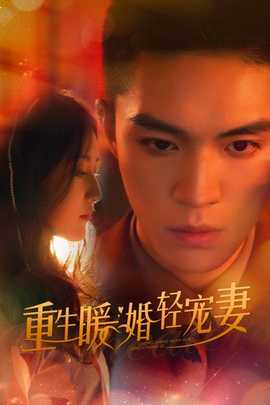 重生暖婚轻宠妻全集