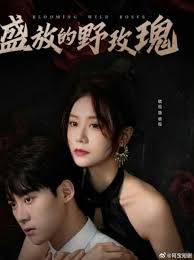 盛放的野玫瑰全集(大结局)