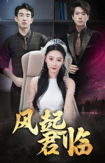 风起君临全集(大结局)