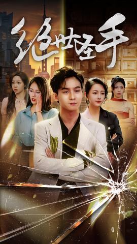 绝世圣手全集(大结局)
