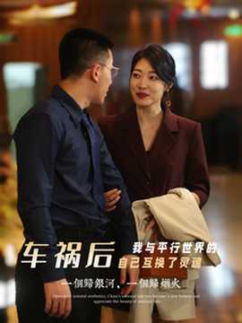 车祸后我与平行世界的自己互换了灵魂全集(大结局)
