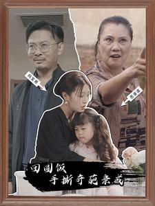 团圆饭手撕奇葩亲戚全集(大结局)