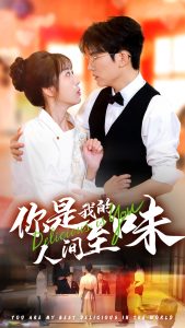 你是我的人间至味全集