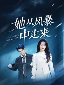 她从风暴中走来全集(大结局)