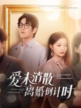 爱未消散离婚倒计时全集(大结局)