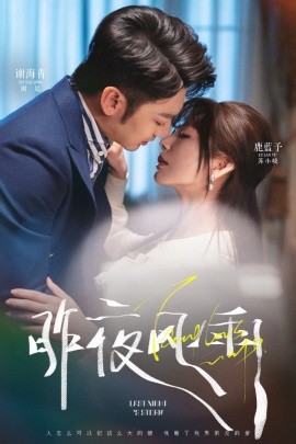 昨夜风雨全集(大结局)