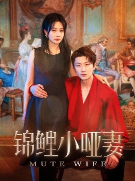 锦鲤小哑妻全集(大结局)