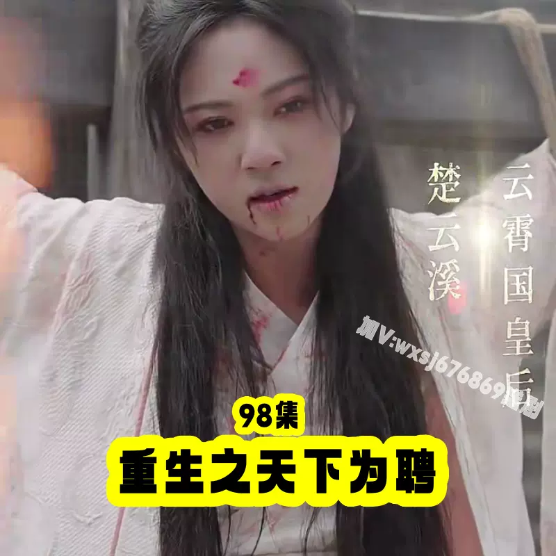 重生之天下為聘1-10集