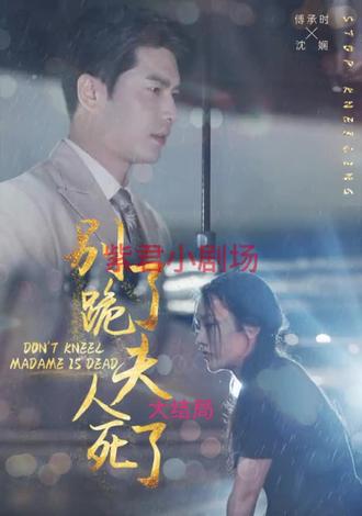 别跪了，夫人死了1-20集