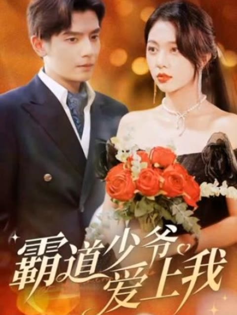 霸道少爷爱上我21-40集