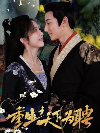 重生之天下为娉21-40集