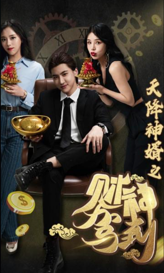 天降神婿之财神驾到1-20集