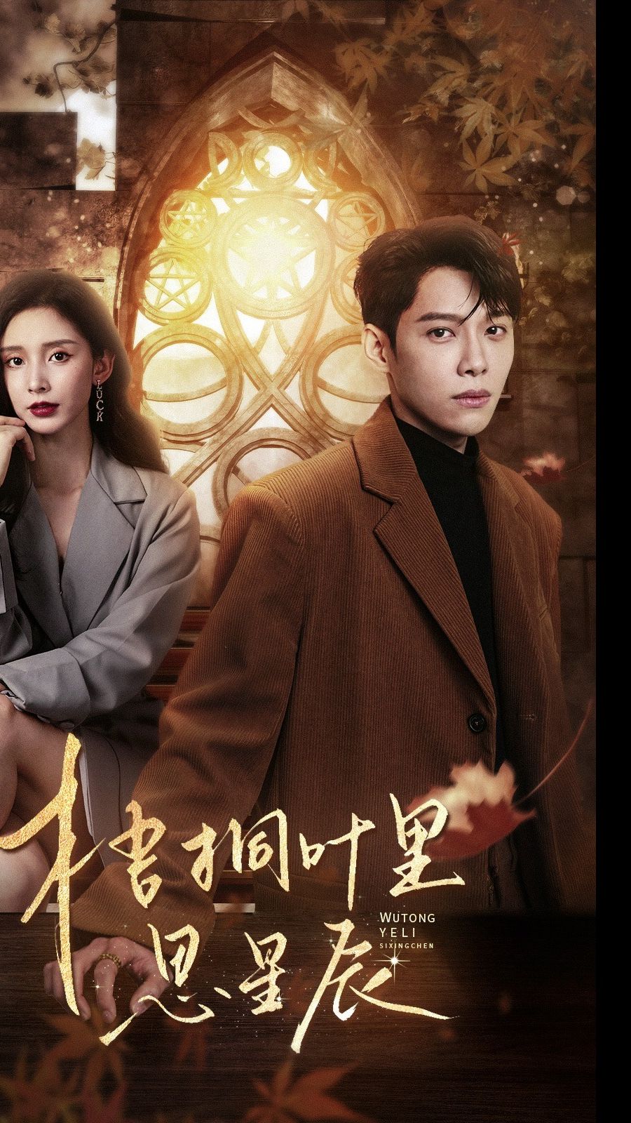 梧桐叶里思星1-20集