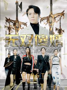 无双傻婿全集 (下)