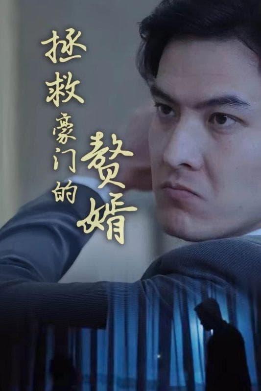 拯救豪门的赘婿全集(大结局)