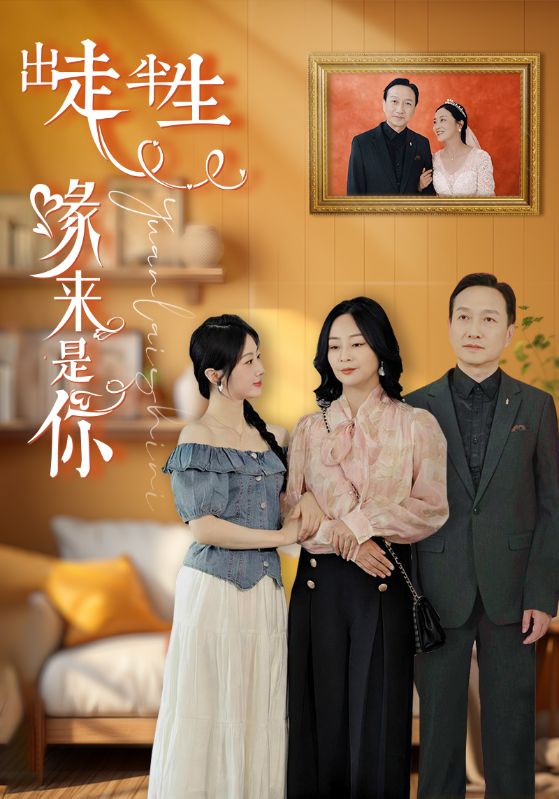 出走半生缘来是你全集(大结局)