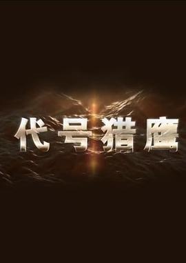 代号猎鹰第01集