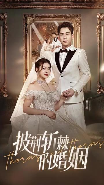 新版：披荆斩棘的婚姻全集(大结局)