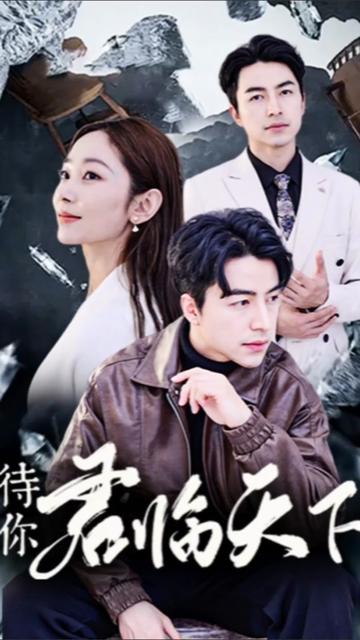 待你君临天下全集(大结局)