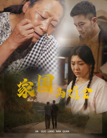 家国两难全自古忠孝两难全全集(大结局)