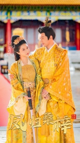 凤归桑梓全集(大结局)